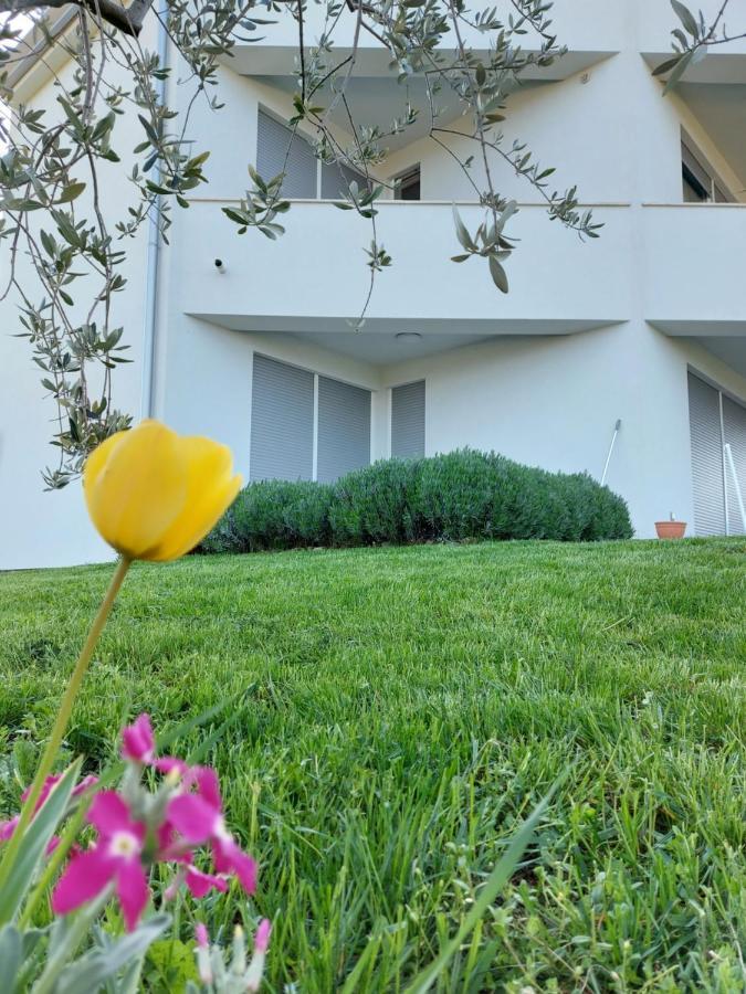 Apartment Fiorella 포레치 외부 사진